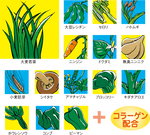 画像をギャラリービューアに読み込む, ポケット野菜